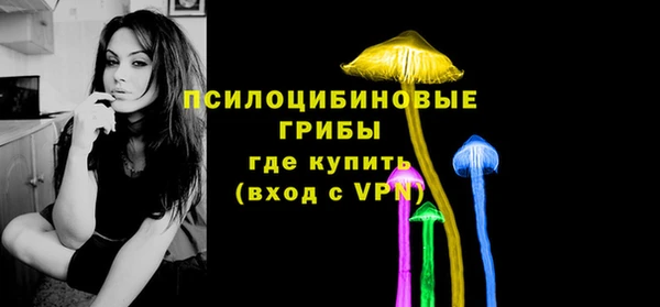 стаф Абинск