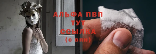 стаф Абинск