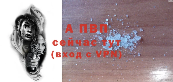 стаф Абинск
