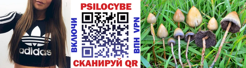 Псилоцибиновые грибы GOLDEN TEACHER  где купить   Нефтеюганск 