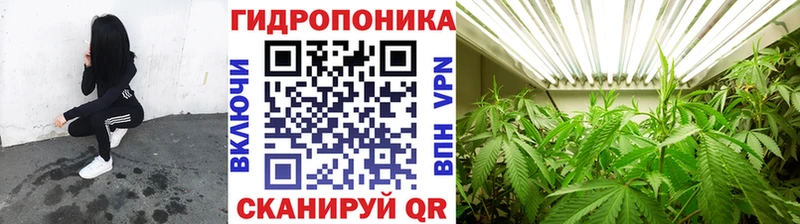 сайты даркнета официальный сайт Нефтеюганск Канабис White Widow